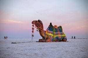 Great Rann Of Kutch 14 Dwarkesh Cab